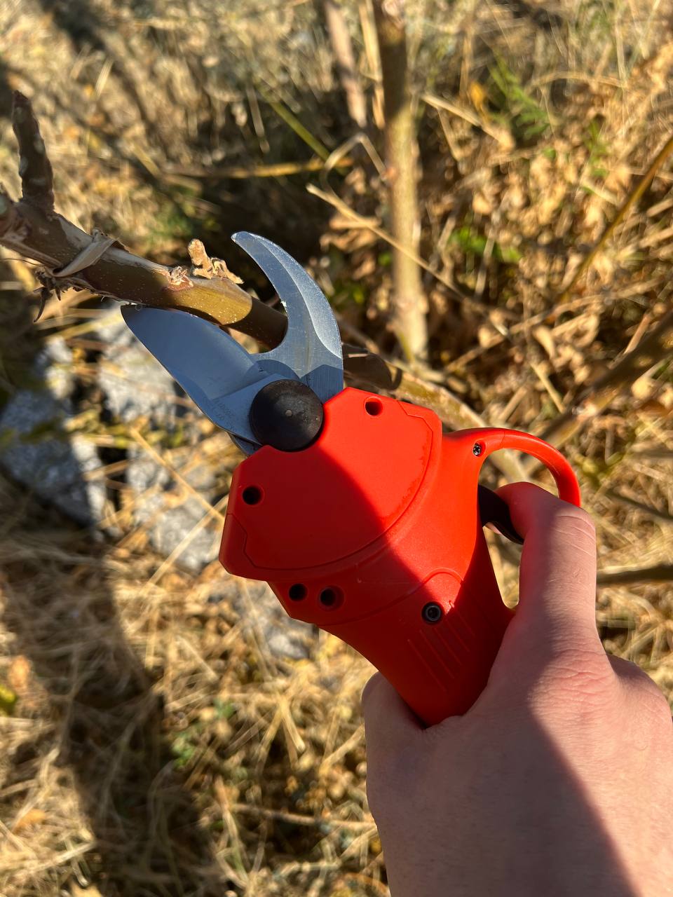 Επαγγελματικό επαναφορτιζόμενο ψαλίδι αμπέλου 20V